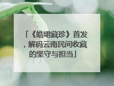 《皓珺藏珍》首发，解码云南民间收藏的坚守与担当