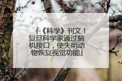 《科学》刊文！复旦科学家通过脑机接口，使失明动物恢复视觉功能