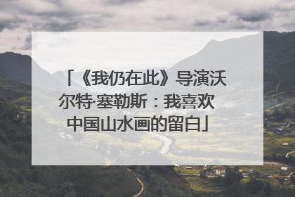 《我仍在此》导演沃尔特·塞勒斯：我喜欢中国山水画的留白