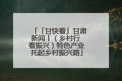 「甘快看」甘肃新闻丨（乡村行 看振兴）特色产业托起乡村振兴路