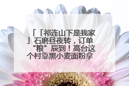 「祁连山下是我家」石磨昼夜转，订单“粮”辰到！高台这个村靠黑小麦面粉拿下成立来最大订单