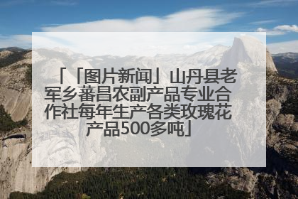 「图片新闻」山丹县老军乡蕃昌农副产品专业合作社每年生产各类玫瑰花产品500多吨