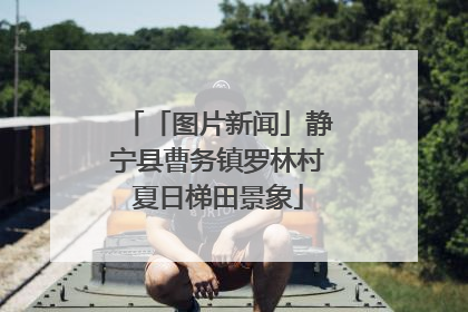「图片新闻」静宁县曹务镇罗林村夏日梯田景象