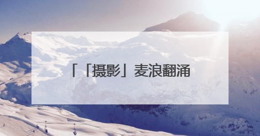 「摄影」麦浪翻涌 又是一年夏收时