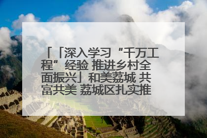 「深入学习“千万工程”经验 推进乡村全面振兴」和美荔城 共富共美 荔城区扎实推进乡村振兴工作