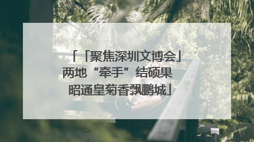 「聚焦深圳文博会」两地“牵手”结硕果 昭通皇菊香飘鹏城