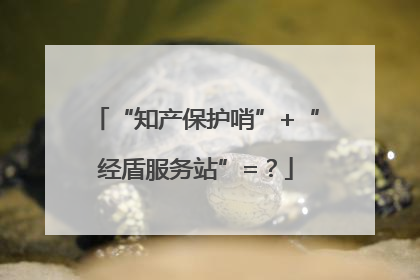 “知产保护哨”+“经盾服务站”=？