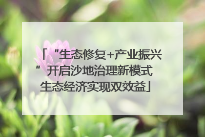“生态修复+产业振兴”开启沙地治理新模式 生态经济实现双效益