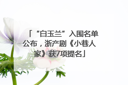 “白玉兰”入围名单公布，浙产剧《小巷人家》获7项提名