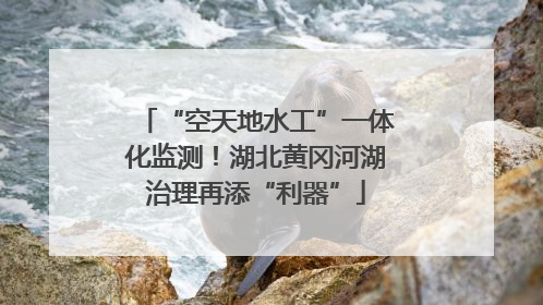 “空天地水工”一体化监测！湖北黄冈河湖治理再添“利器”