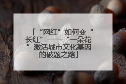 “网红”如何变“长红”——“一朵花”激活城市文化基因的破题之路