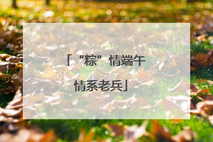 “粽”情端午 情系老兵