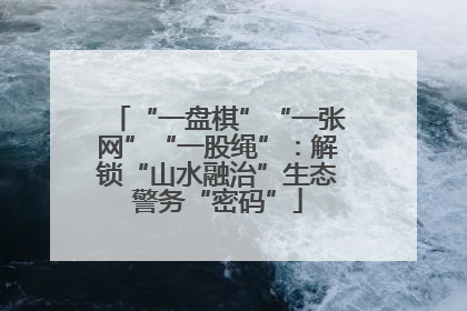 “一盘棋”“一张网”“一股绳”：解锁“山水融治”生态警务“密码”