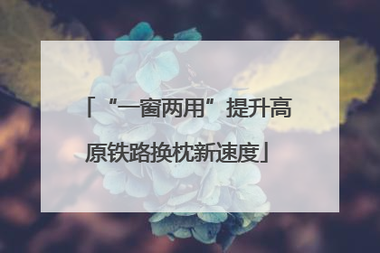 “一窗两用”提升高原铁路换枕新速度
