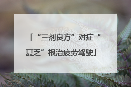 “三剂良方”对症“夏乏”根治疲劳驾驶