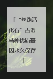 “丝路活化石”古老马种优质基因永久保存