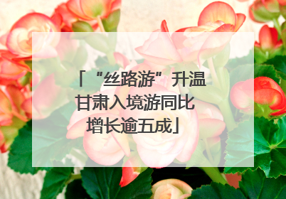“丝路游”升温 甘肃入境游同比增长逾五成