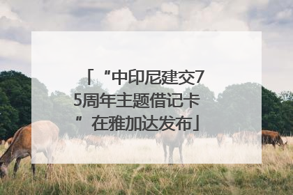 “中印尼建交75周年主题借记卡”在雅加达发布