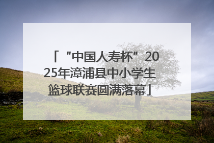 “中国人寿杯”2025年漳浦县中小学生篮球联赛圆满落幕