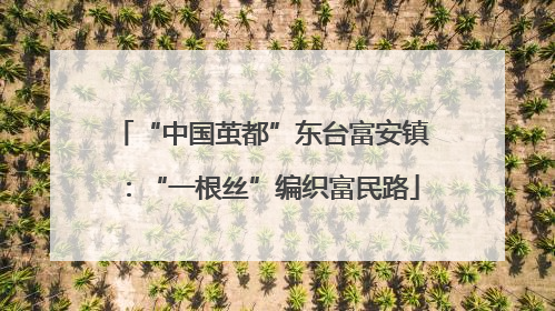 “中国茧都”东台富安镇：“一根丝”编织富民路