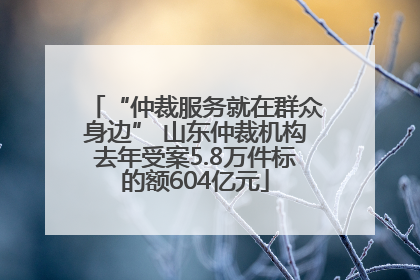 “仲裁服务就在群众身边” 山东仲裁机构去年受案5.8万件标的额604亿元
