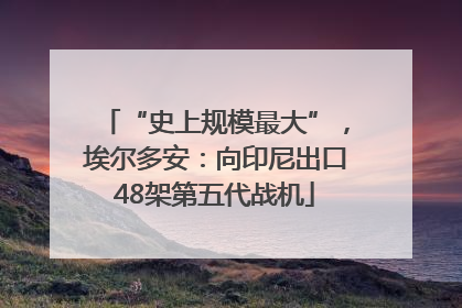 “史上规模最大”，埃尔多安：向印尼出口48架第五代战机