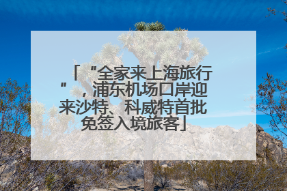 “全家来上海旅行”，浦东机场口岸迎来沙特、科威特首批免签入境旅客