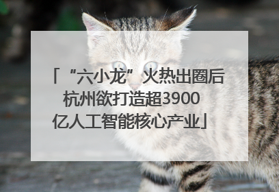 “六小龙”火热出圈后 杭州欲打造超3900亿人工智能核心产业