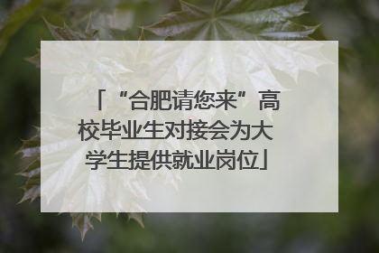 “合肥请您来”高校毕业生对接会为大学生提供就业岗位