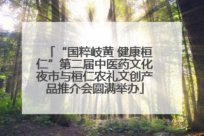“国粹岐黄 健康桓仁”第二届中医药文化夜市与桓仁农礼文创产品推介会圆满举办