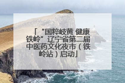 “国粹岐黄 健康铁岭”辽宁省第二届中医药文化夜市（铁岭站）启动