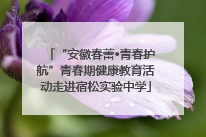 “安徽春蕾•青春护航”青春期健康教育活动走进宿松实验中学