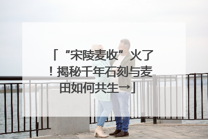 “宋陵麦收”火了！揭秘千年石刻与麦田如何共生→