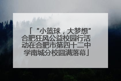 “小篮球，大梦想”合肥狂风公益校园行活动在合肥市第四十二中学南城分校圆满落幕