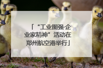 “工业图强·企业家精神”活动在郑州航空港举行
