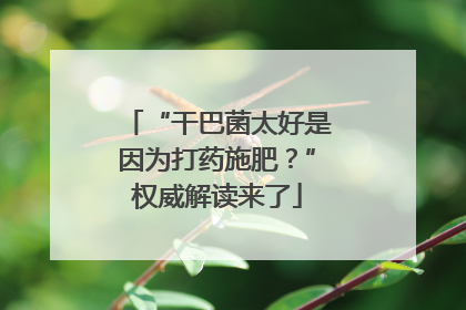 “干巴菌太好是因为打药施肥？”权威解读来了