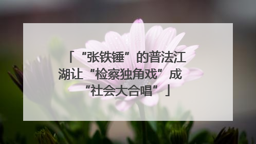 “张铁锤”的普法江湖让“检察独角戏”成“社会大合唱”