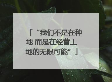 “我们不是在种地 而是在经营土地的无限可能”