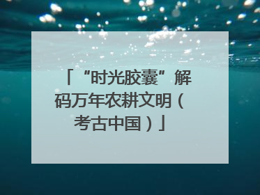 “时光胶囊”解码万年农耕文明（考古中国）