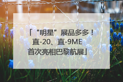“明星”展品多多！直-20、直-9ME首次亮相巴黎航展