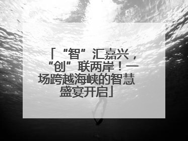 “智”汇嘉兴，“创”联两岸！一场跨越海峡的智慧盛宴开启