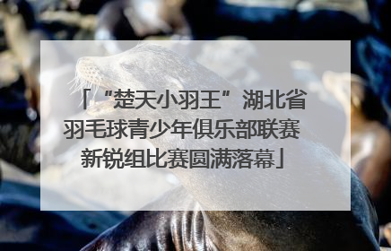 “楚天小羽王”湖北省羽毛球青少年俱乐部联赛新锐组比赛圆满落幕