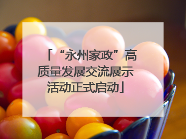 “永州家政”高质量发展交流展示活动正式启动
