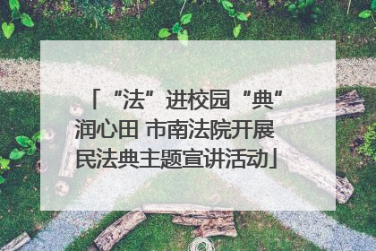 “法”进校园“典”润心田 市南法院开展民法典主题宣讲活动