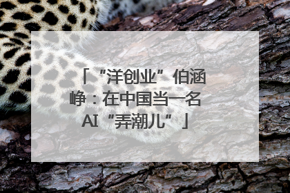 “洋创业”伯涵峥：在中国当一名AI“弄潮儿”