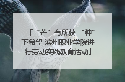 “芒”有所获 “种”下希望 滨州职业学院进行劳动实践教育活动