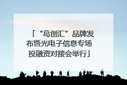 “葛创汇”品牌发布暨光电子信息专场投融资对接会举行