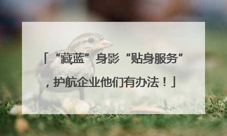 “藏蓝”身影“贴身服务”，护航企业他们有办法！