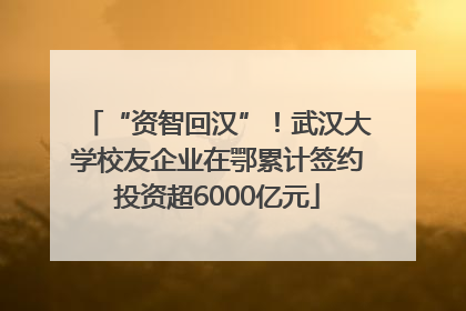 “资智回汉”！武汉大学校友企业在鄂累计签约投资超6000亿元