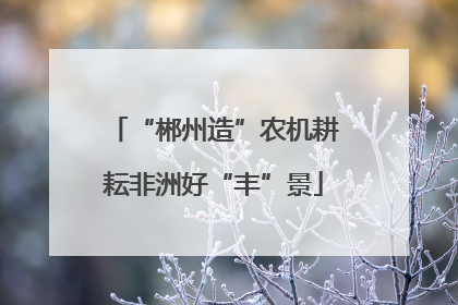 “郴州造”农机耕耘非洲好“丰”景
